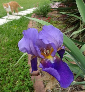 from Kristal's grandmother