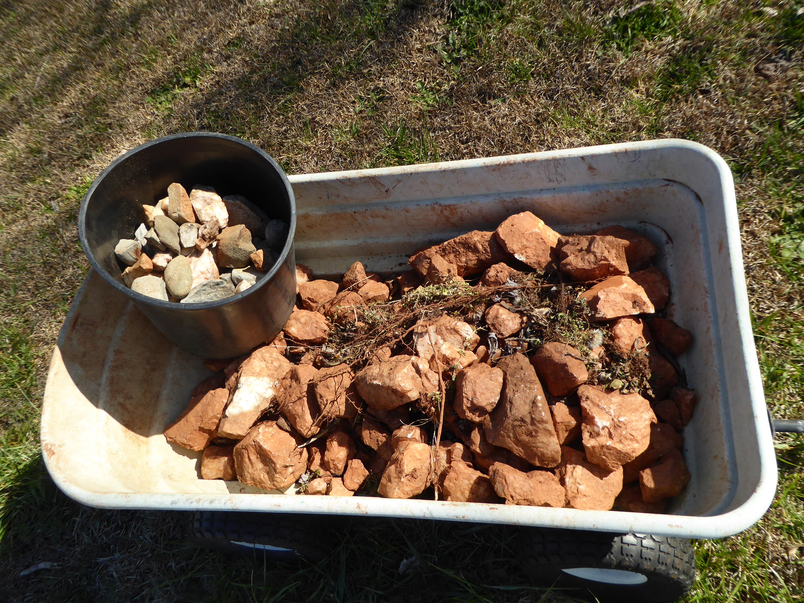 This is our most prolific crop.