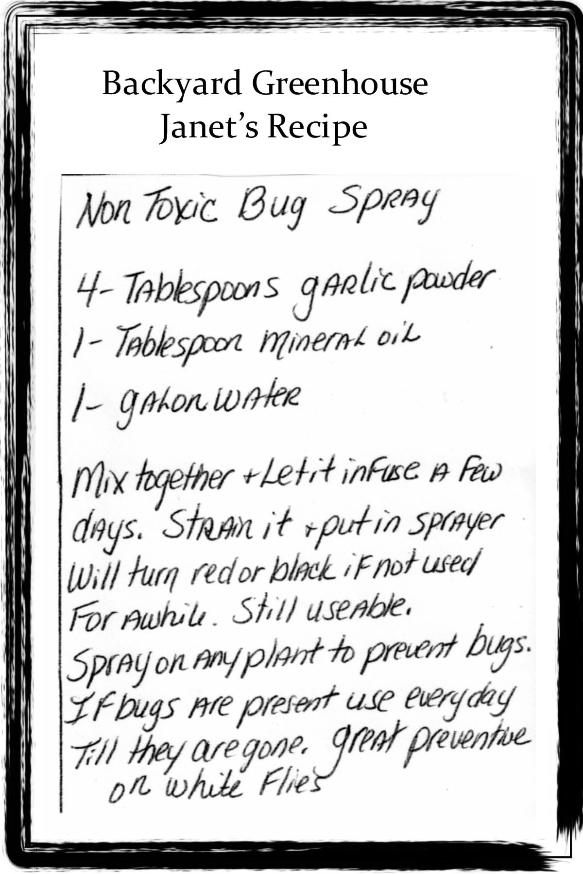 18359425_237907043279998_7056021334428997181_o