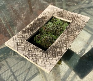 Shitakusa in a Patti pot