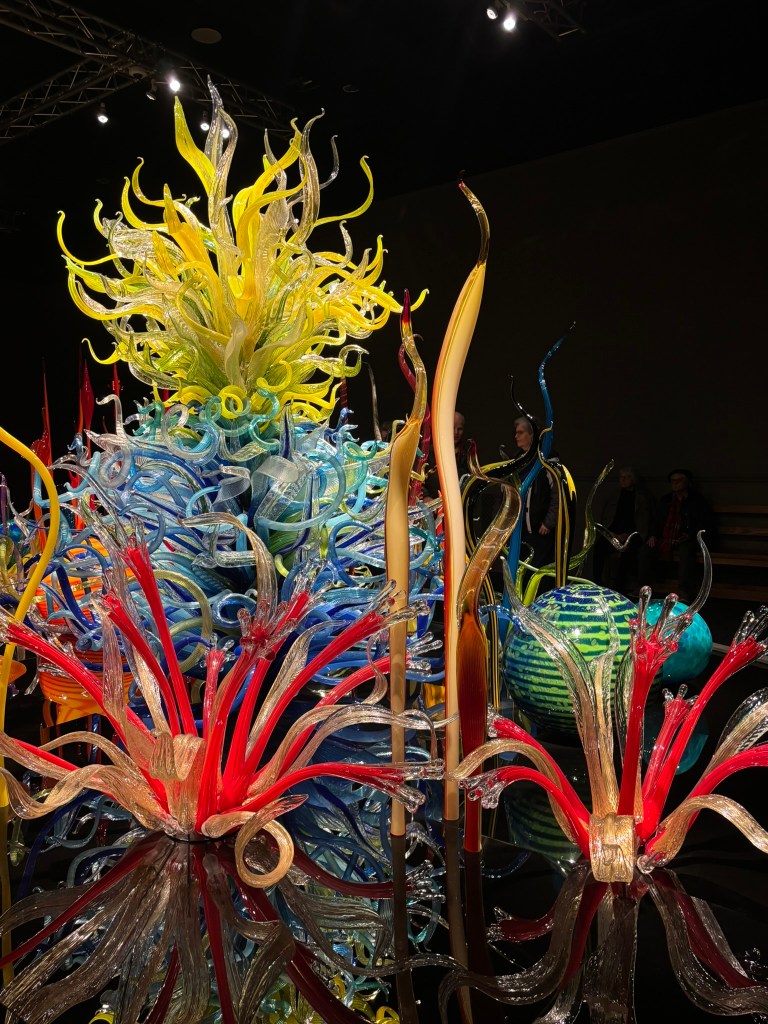 chihuly seaforms in a black room.