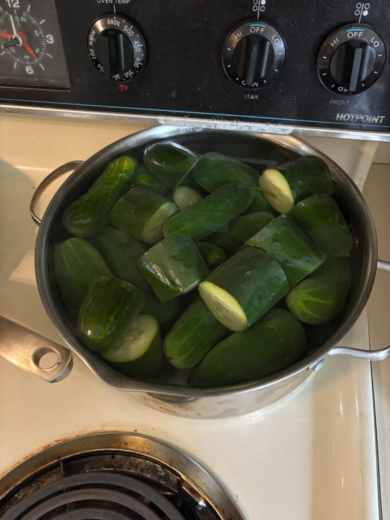 a pot of cucumbers soaking in boiling water