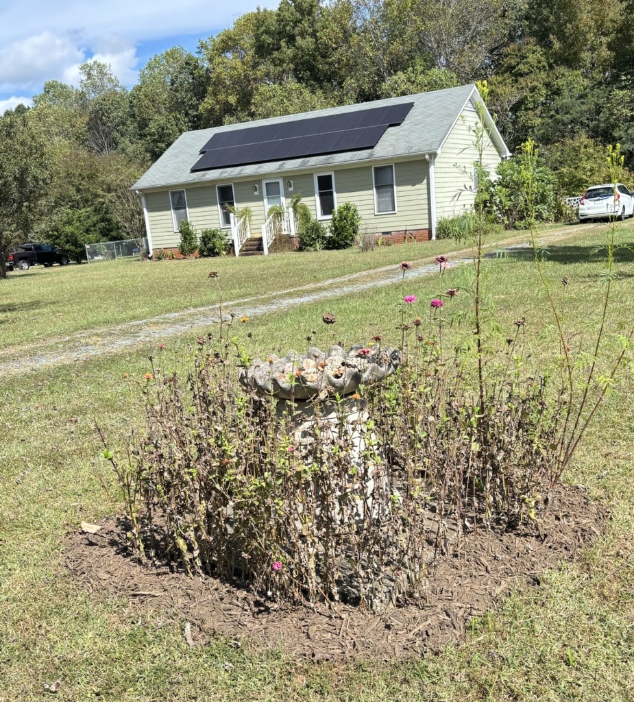 A birdbath-style well cover surrounded by mostly-dead zinnias with 4 huacatay plants on the right corner.

Behind that is a little green house with solar panels, white trim .  A white car is in the gravel driveway on the right.